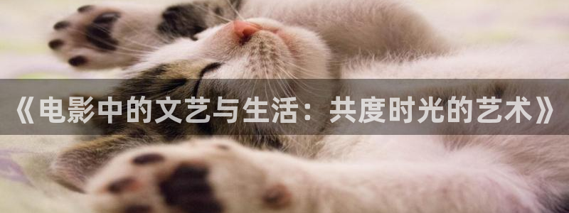 欧美影院最新电影