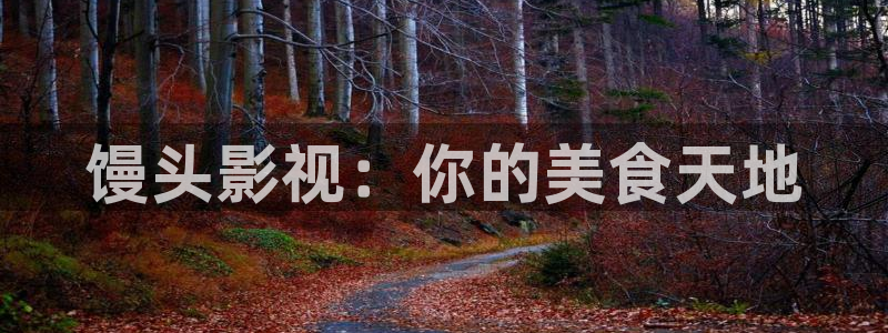 浮力欧美影院：馒头影视：你的美食天地