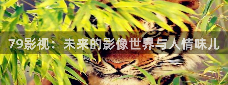 www.欧美影院：79影视：未来的影像世界与人情味儿