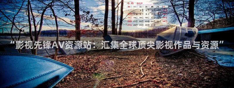 成人欧美影院：“影视先锋AV资源站：汇集全球顶尖影视作品与资源”