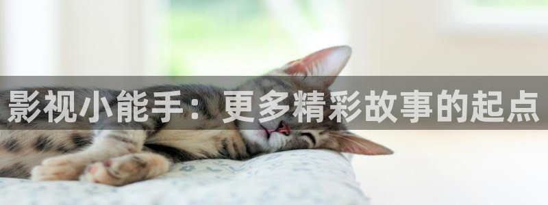 黄色欧美影院：影视小能手：更多精彩故事的起点