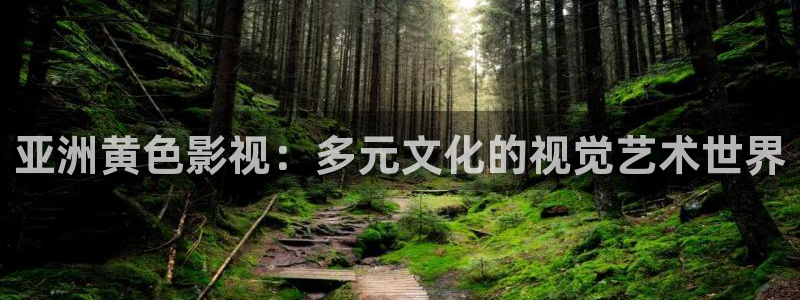 xo欧美影院：亚洲黄色影视：多元文化的视觉艺术世界