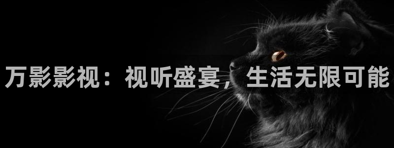 欧美影院免费在线观看：万影影视：视听盛宴，生活无限可能