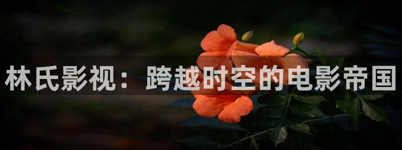 欧美影院在线免费观看：林氏影视：跨越时空的电影帝国