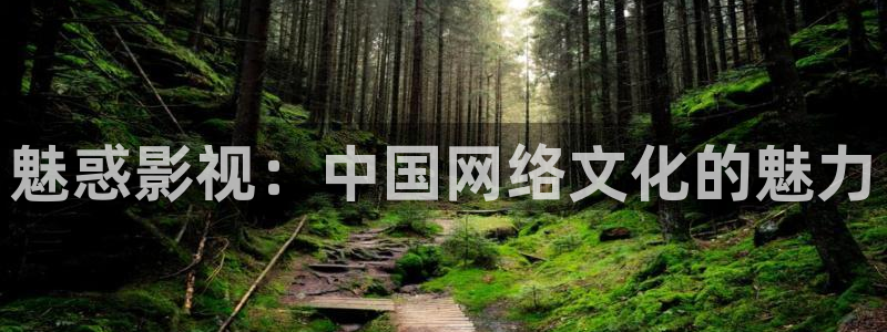 东方影视天天欧美影院：魅惑影视：中国网络文化的魅力