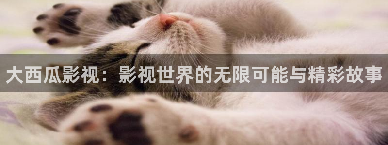 劲爆欧美影院：大西瓜影视：影视世界的无限可能与精彩故事