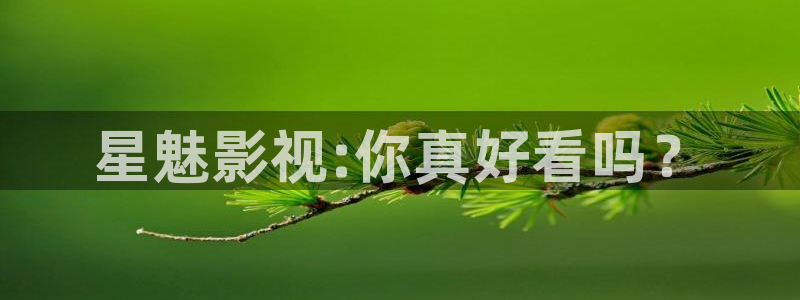 3571欧美影院：星魅影视:你真好看吗？